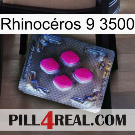 Rhinocéros 9 3500 02